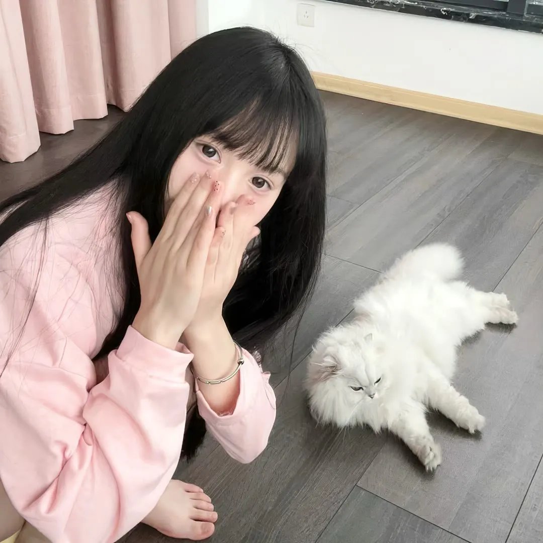 堡垒坚石